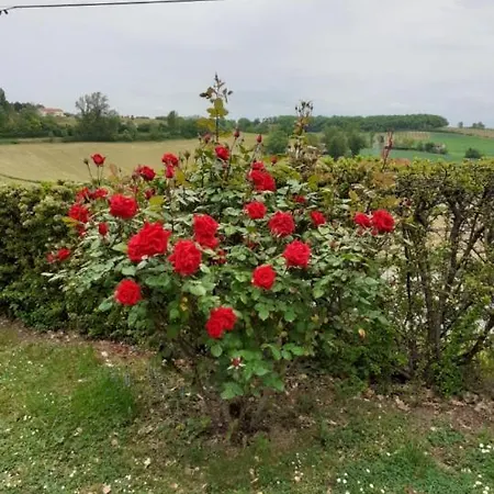 Gite de La Cheneraie Montpezat-de-Quercy Exterior foto